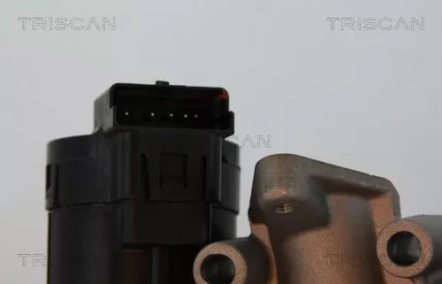 TRISCAN EGR Valve (881310001)