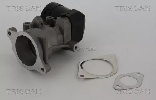 TRISCAN EGR Valve (881310001)