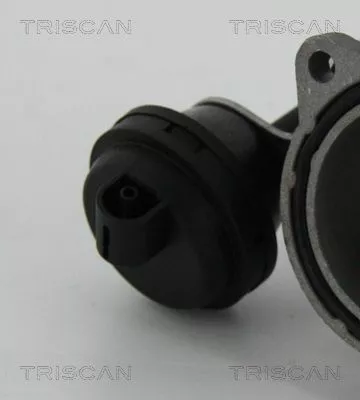 TRISCAN EGR Valve (881329057)