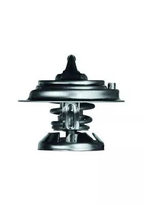 MAHLE Thermostat, coolant (TX2980D)