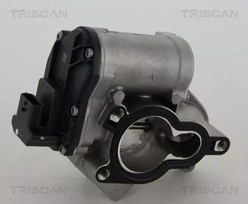 TRISCAN EGR Valve (881324039)