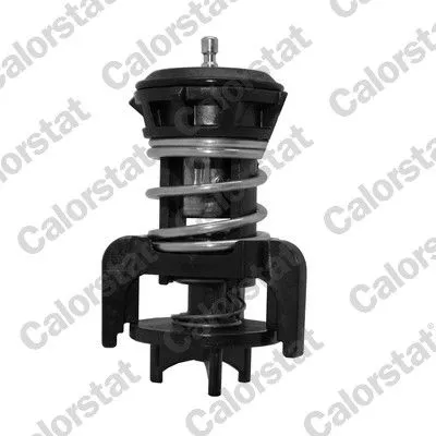 Thermostat, coolant