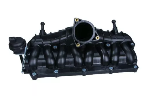 Intake Manifold Module