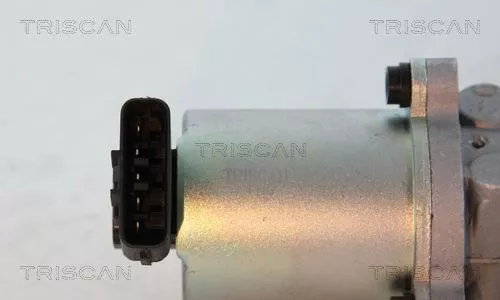 TRISCAN EGR Valve (881313102)