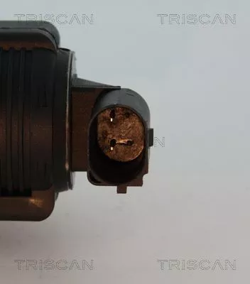 TRISCAN EGR Valve (881310015)