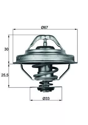 MAHLE Thermostat, coolant (TX2892D)