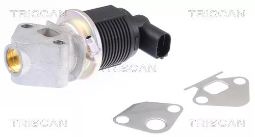 TRISCAN EGR Valve (881329009)