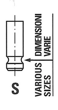FRECCIA Exhaust Valve (R6174/RNT)