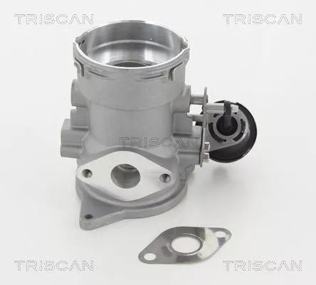 TRISCAN EGR Valve (881329056)