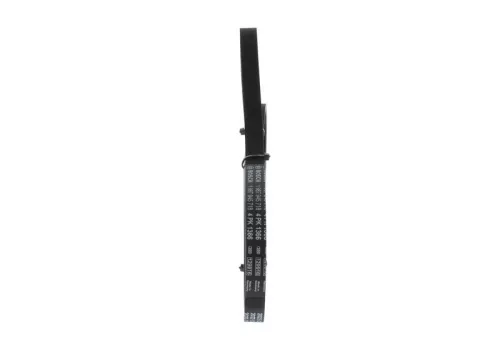 BOSCH V-Ribbed Belt (1987945718)