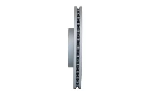 BOSCH Brake Disc (0986479D79)