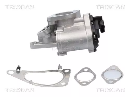 TRISCAN EGR Valve (881325201)