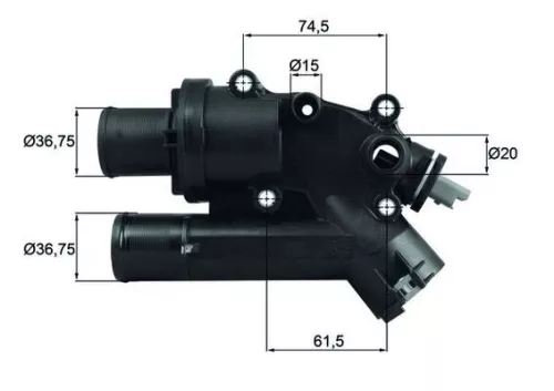 Thermostat, coolant