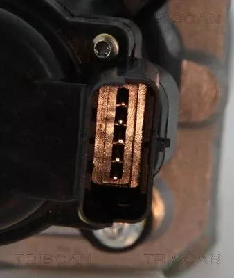 TRISCAN EGR Valve (881310010)