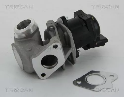 TRISCAN EGR Valve (881310010)