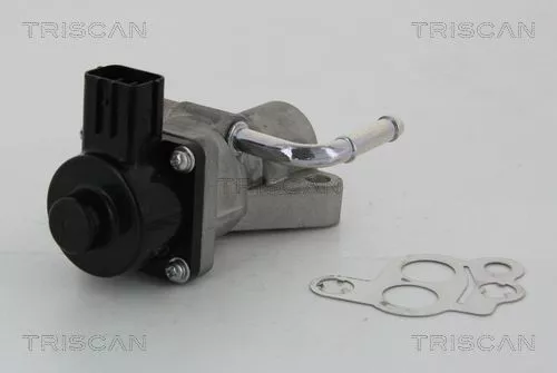 TRISCAN EGR Valve (881310014)