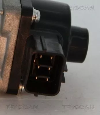 TRISCAN EGR Valve (881310014)