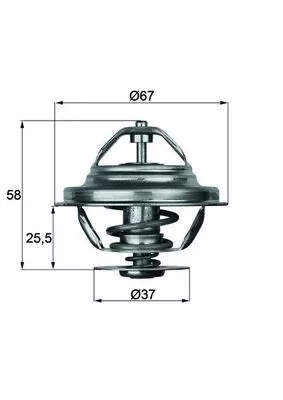 Thermostat, coolant