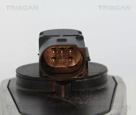 TRISCAN EGR Valve (881310002)