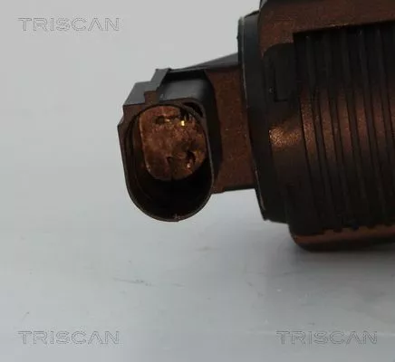 TRISCAN EGR Valve (881310005)