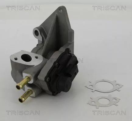 TRISCAN EGR Valve (881329047)