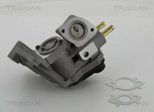 TRISCAN EGR Valve (881329047)