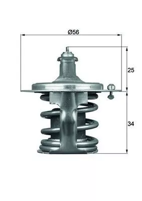 Thermostat, coolant