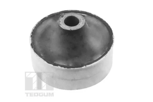 TEDGUM Mounting, control/trailing arm (00517393)