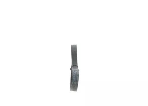 V-Ribbed Belt