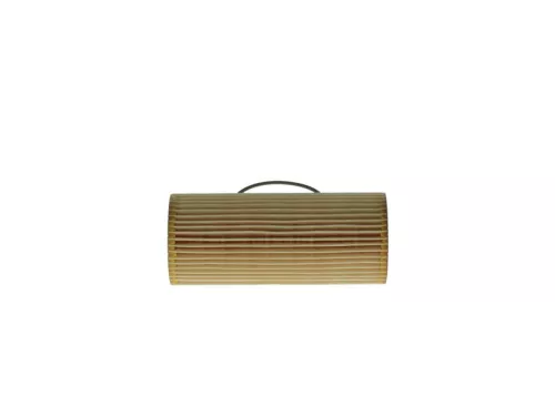 BOSCH Hydraulic Filter, automatic transmission (F026404019)