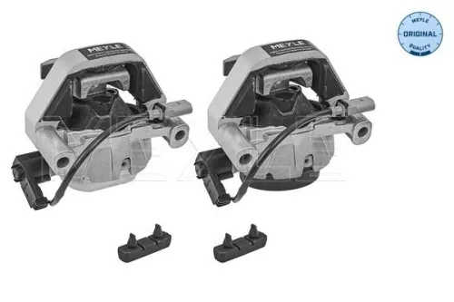 Mounting, engine