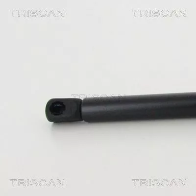 TRISCAN Gas Spring, boot/cargo area (8710292049)