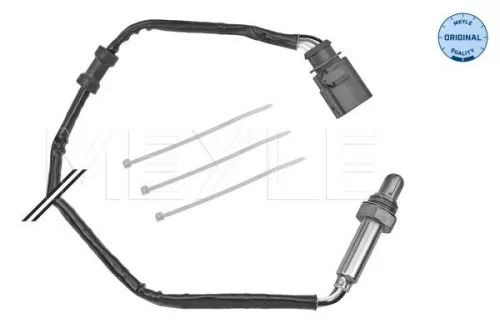 Oxygen Sensor