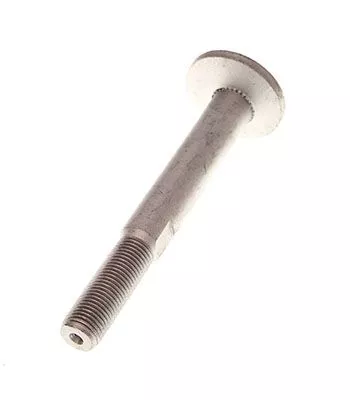 Camber Correction Screw
