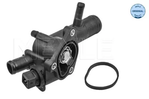 Thermostat, coolant