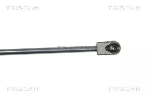 TRISCAN Gas Spring, rear window (871016251)