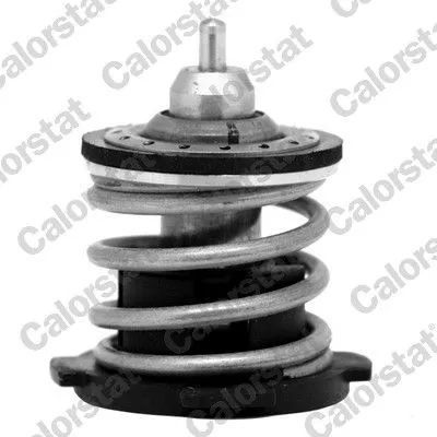CALORSTAT by Vernet Thermostat, coolant (TH7274.80)