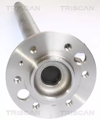 TRISCAN Wheel Bearing Kit (853023236)