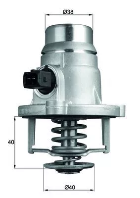 Thermostat, coolant