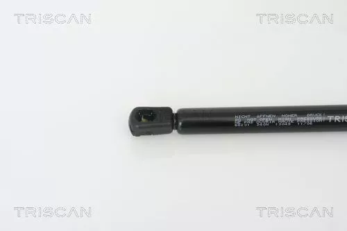 TRISCAN Gas Spring, boot/cargo area (871066201)