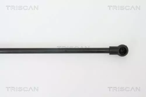 TRISCAN Gas Spring, boot/cargo area (871066201)