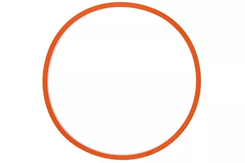 CONTINENTAL/VDO Seal (A2C59516948)