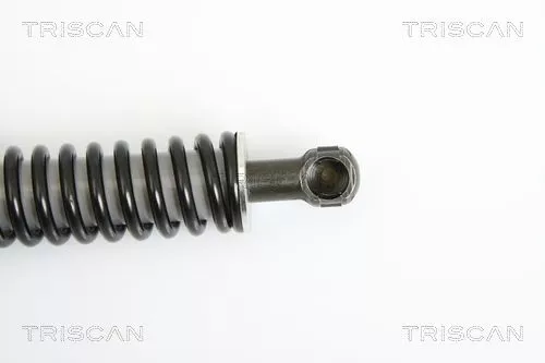 TRISCAN Gas Spring, boot/cargo area (871029264)