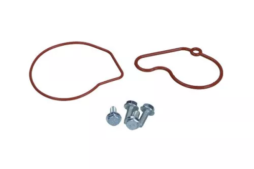 Repair Set, vacuum pump (braking system)