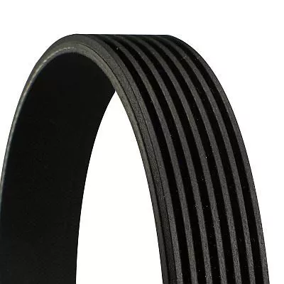 CONTINENTAL CTAM V-Ribbed Belt (7PK1338)