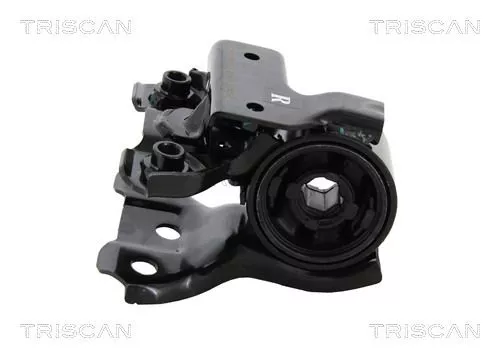 Mounting, control/trailing arm
