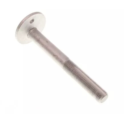Camber Correction Screw