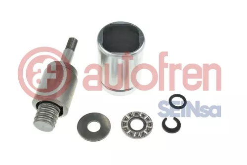 AUTOFREN SEINSA Piston, brake caliper (D025684K)