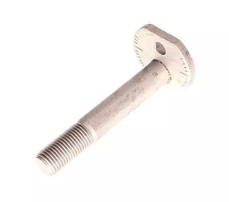 Camber Correction Screw