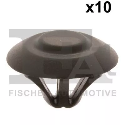 Clip, trim/protection strip